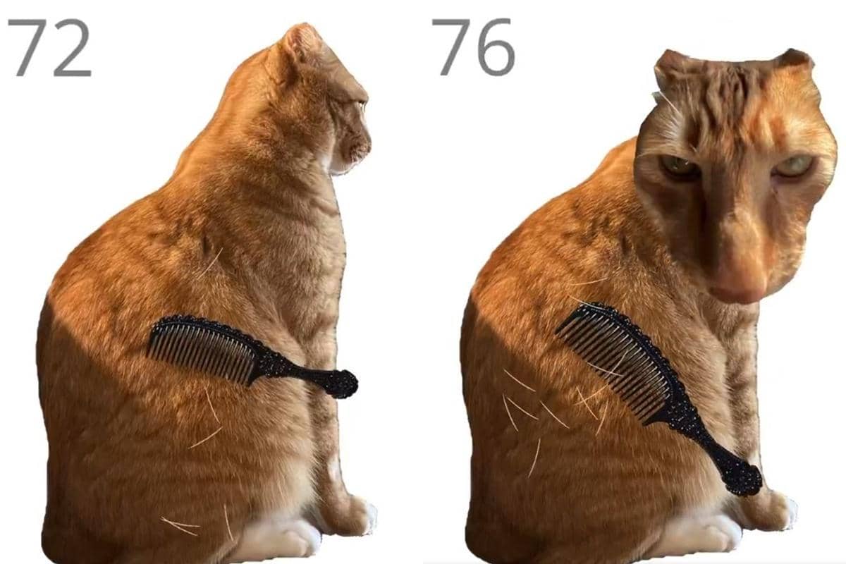 Cara Main Brush Jjaemu, Game Nyisirin Kucing yang Viral