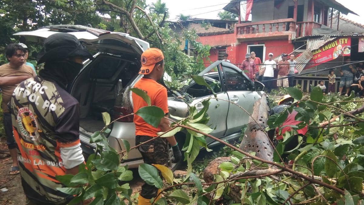 Xenia Ringsek Parah Tertimpa Pohon Tumbang di Bandar Lampung