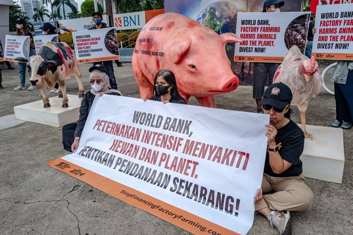Aksi Global Soroti Pendanaan World Bank untuk Peternakan Intensif (Dok. IDN Times)
