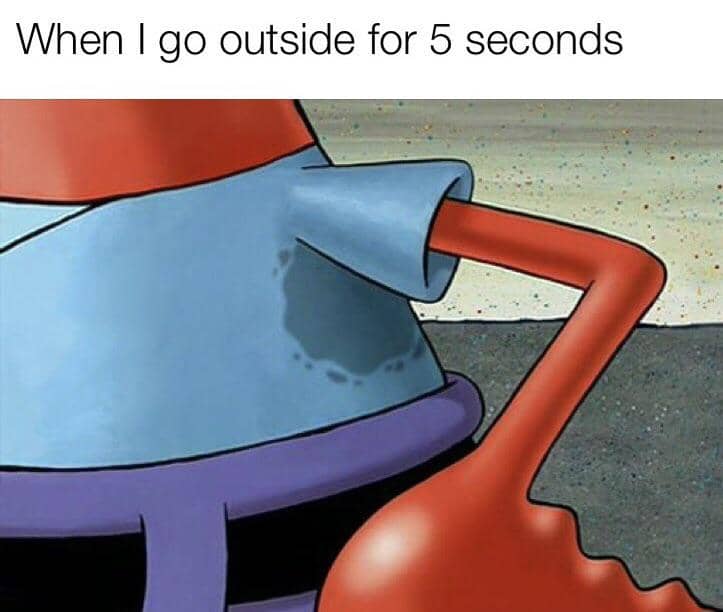 8 Meme SpongeBob tentang Musim Panas, Keringatan Mulu