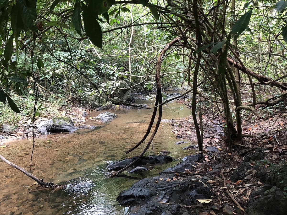 potret Sungai Kran Buri