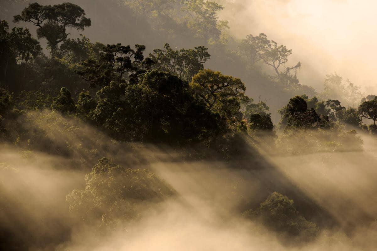 potret lautan kabut di Kaeng Krachan