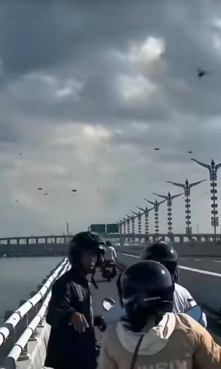 Koloni Lebah Melintasi Para Pemotor di Jalan Tol Bali Mandara