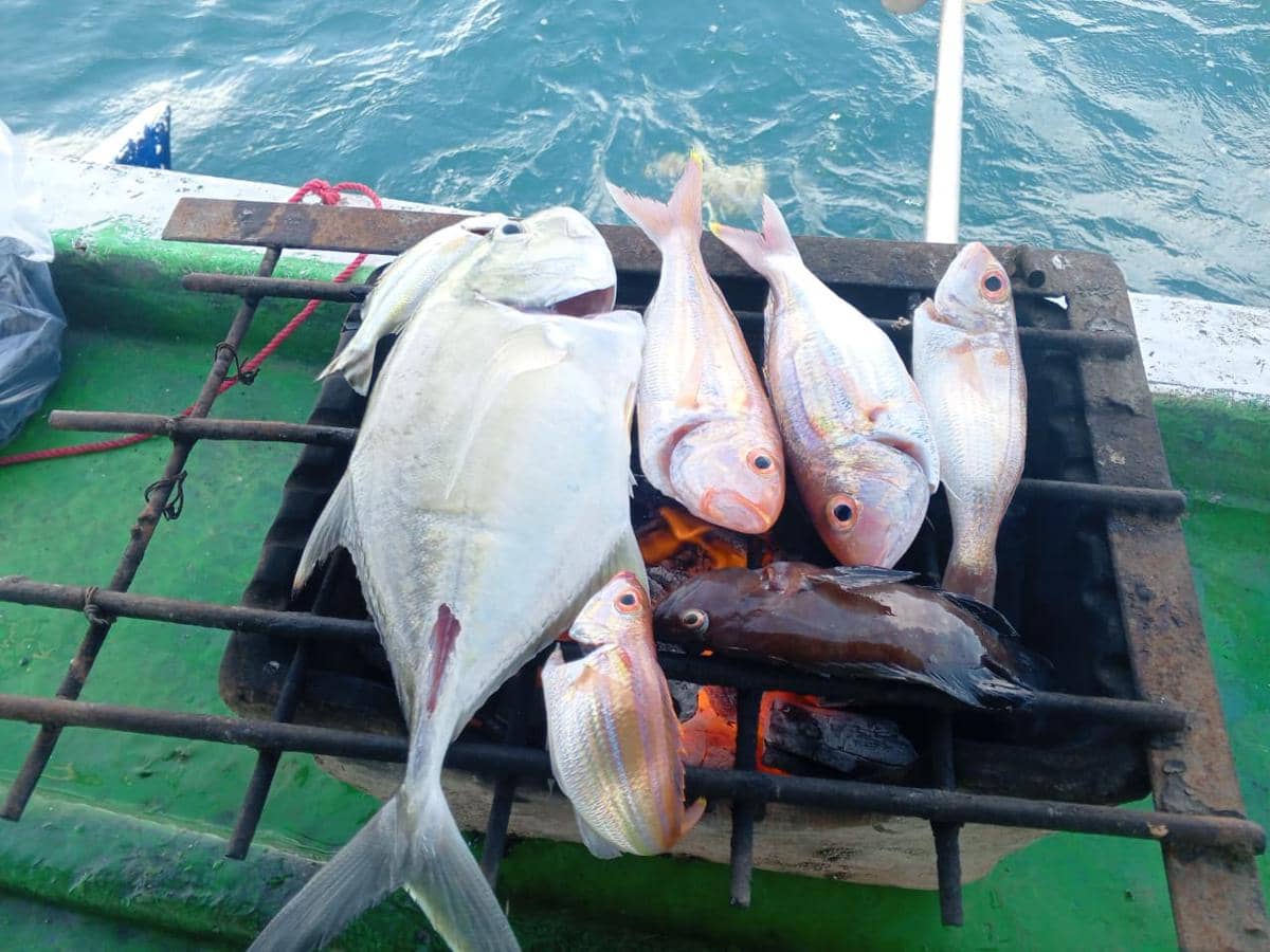 Ikan hasil tangkapan pancing di laut Makassar, Sabtu (11/4/2026). Dok. Istimewa