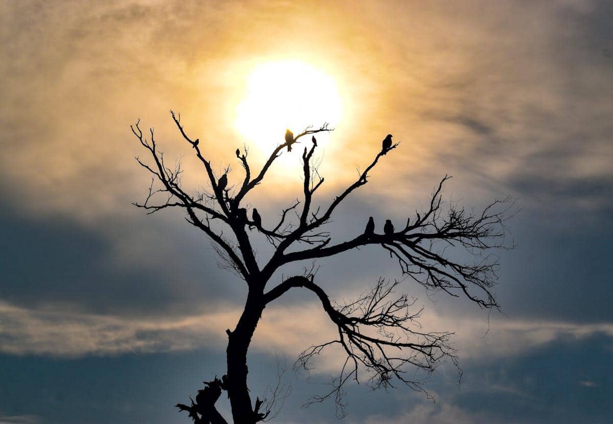 Kenapa Indonesia Bisa Terdampak El Niño? Ini Penjelasan Ilmiahnya