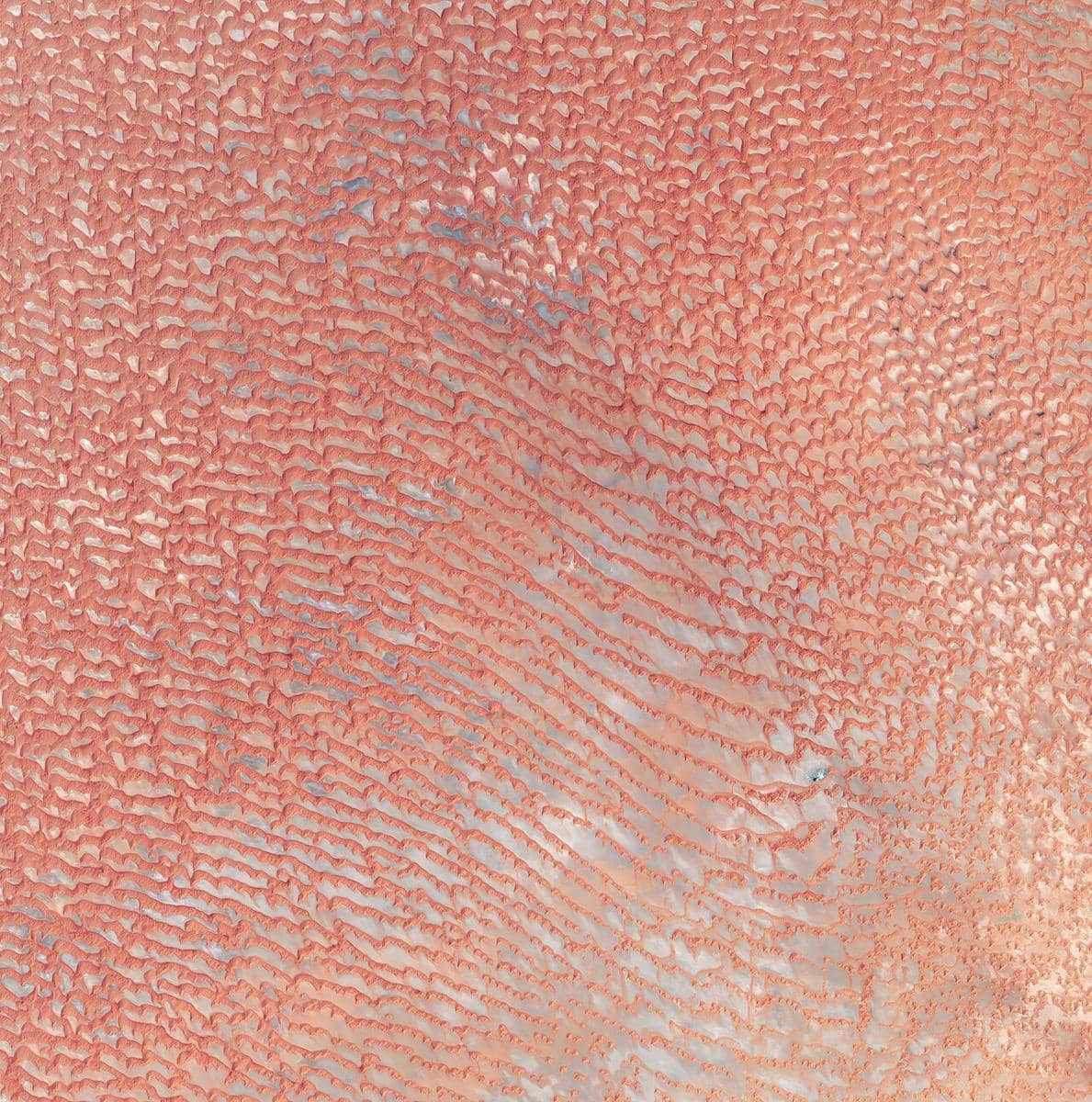 6 Fakta Unik Rub' al Khali, Gurun Pasir Kontinu Terluas di Dunia!