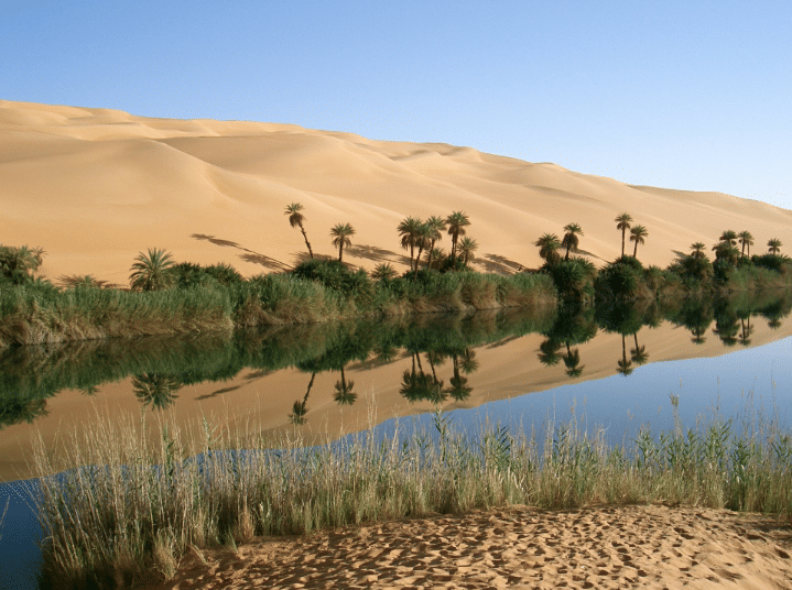 Ilustrasi danau di tengah gurun