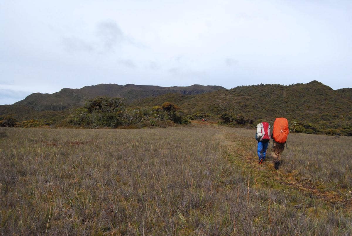 Dua pendaki dengan ransel besar berjalan di padang rumput menuju perbukitan hijau di kawasan Gunung Leuser di bawah langit berawan.