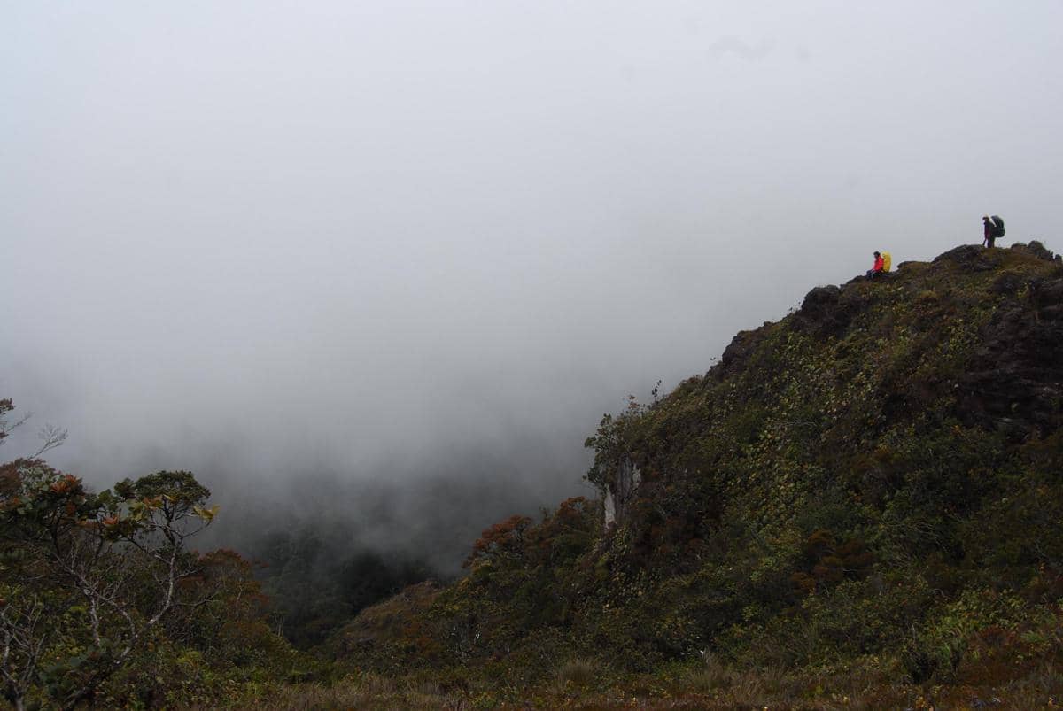 Pendaki dengan perlengkapan lengkap berada di puncak bukit berkabut di kawasan Gunung Leuser yang dikelilingi vegetasi hijau.
