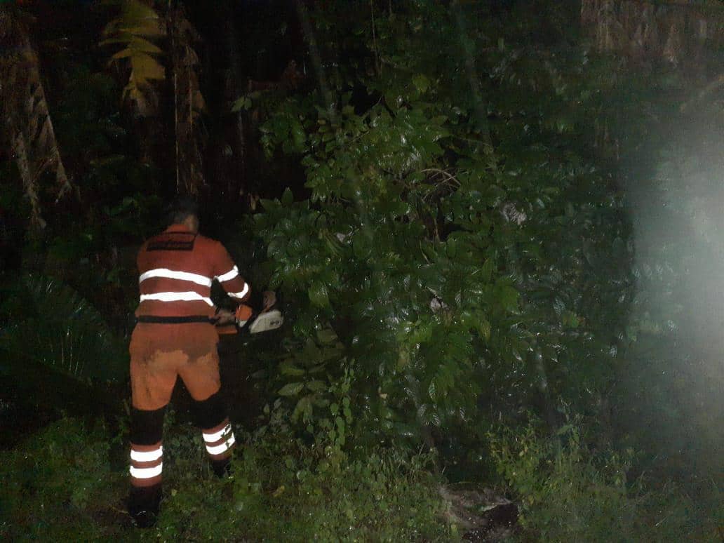 Ilustrasi evakuasi pohon tumbang oleh tim BPBD akibat Hujan Deras. (Humas BPBD Kota Bogor)