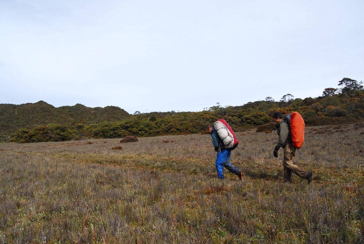Ini yang Harus Dipertimbangkan Sebelum Mendaki Gunung Leuser