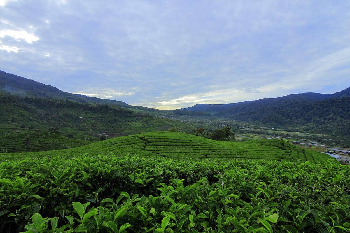 5 Destinasi Healing di Bandung, Jiwa Tenang Raga Pun Bugar