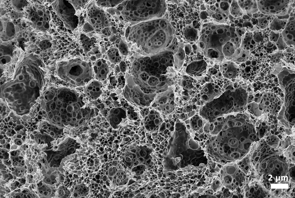 ilustrasi biopolymers