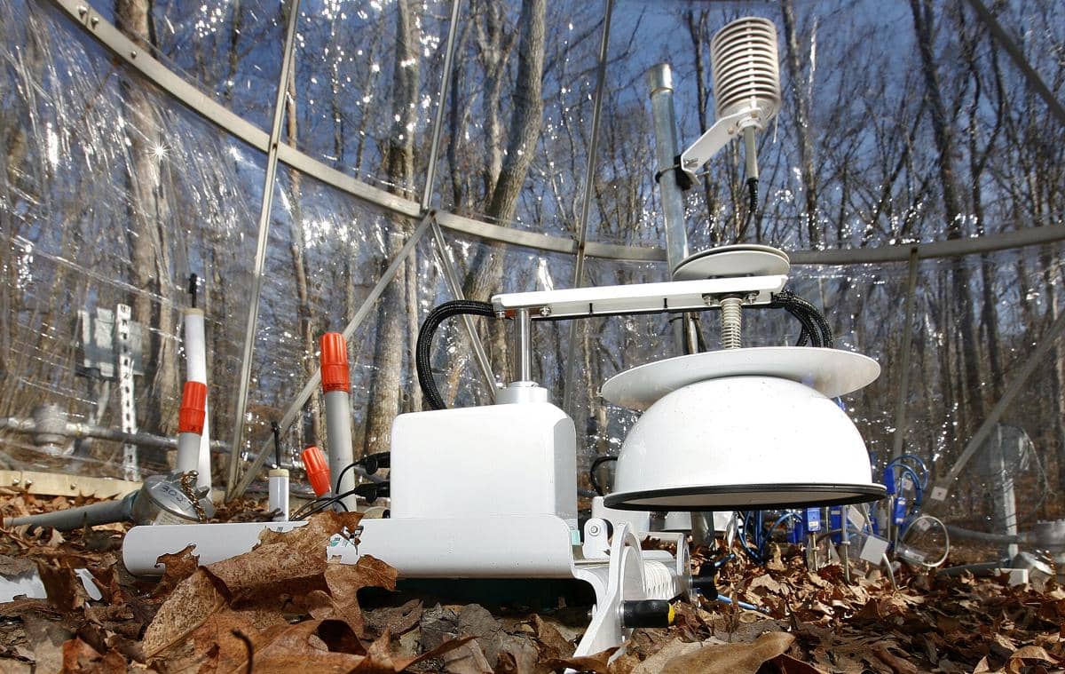 ilustrasi soil respiration chamber