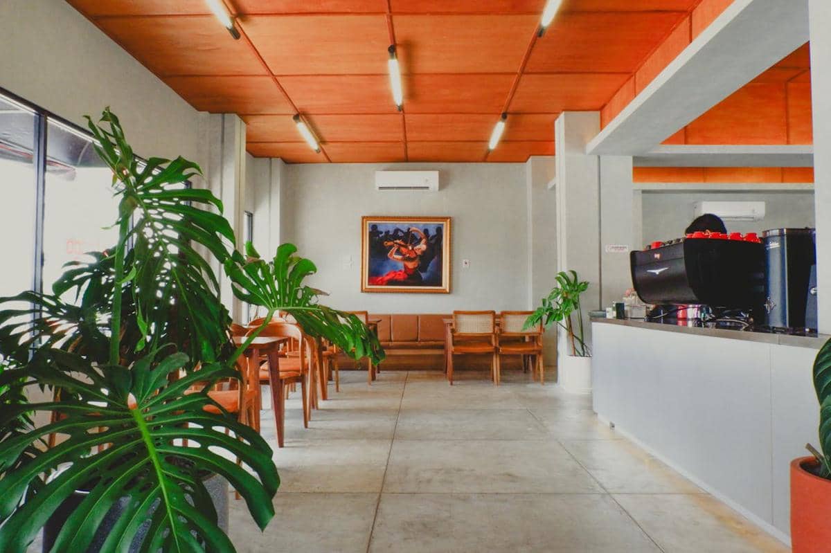 5 Tanaman Hias yang Cocok untuk Konsep Kafe Estetik dan Instagramable