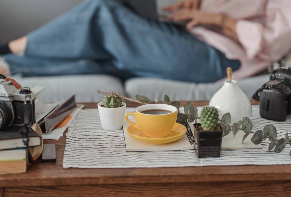 ilustrasi kaktus di ruang tamu