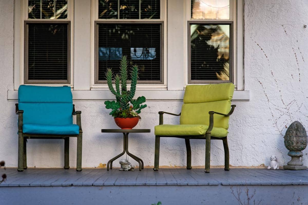 ilustrasi kaktus di teras