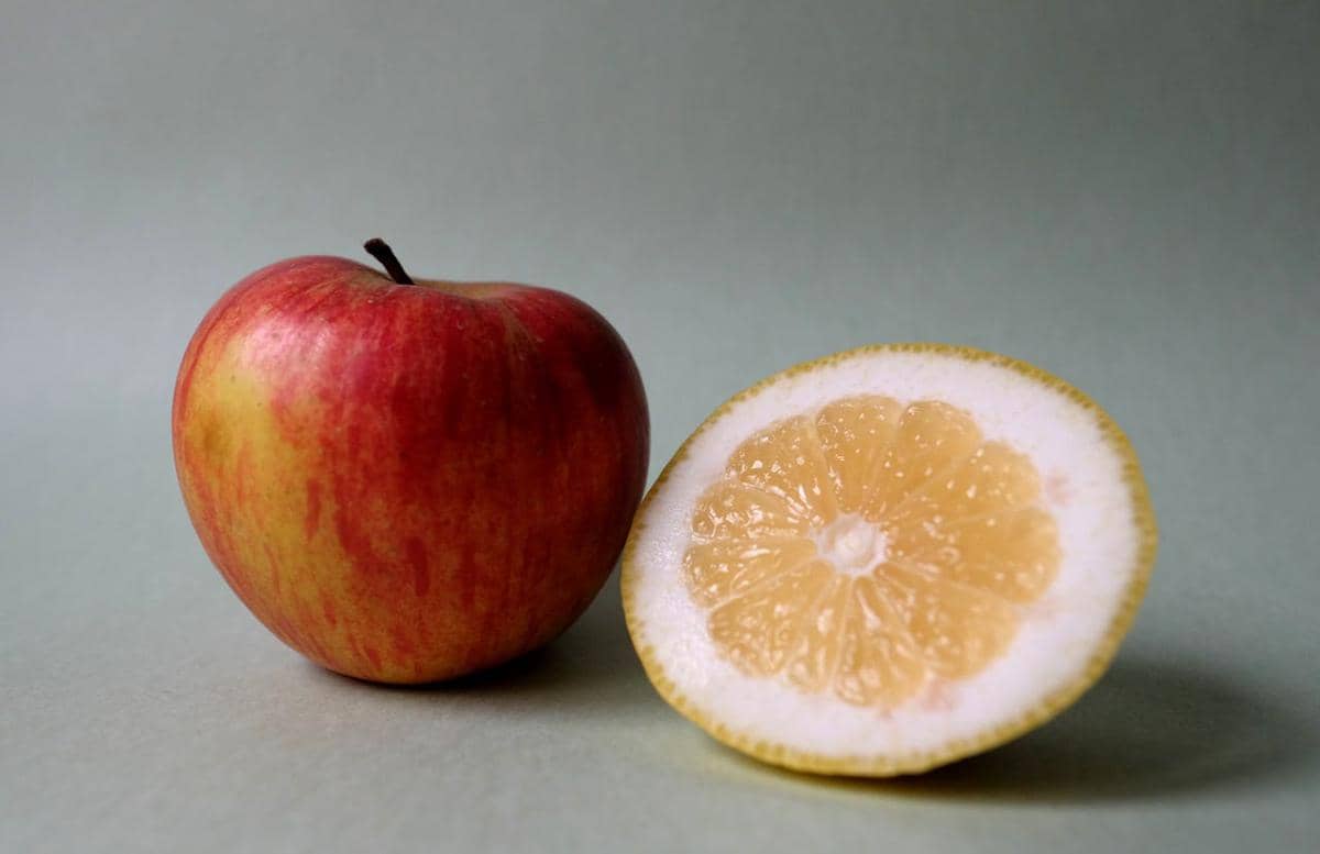 Cuka Sari Apel vs Air Lemon, Mana Lebih Baik untuk Kesehatan Usus?