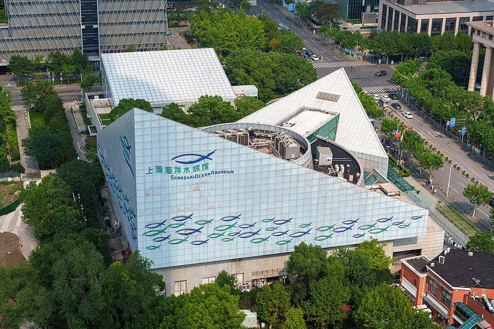 Shanghai Ocean Aquarium