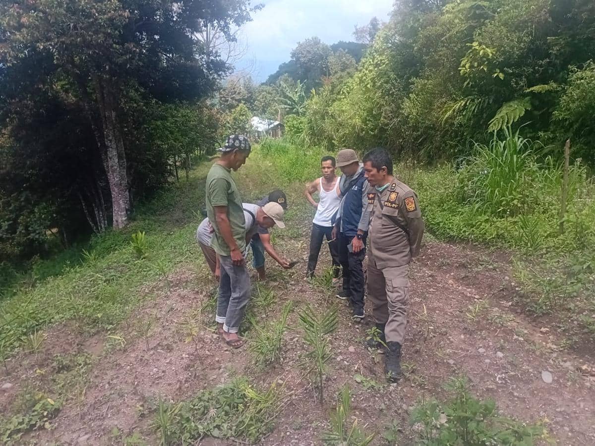 Tim BKSDA Sumbar melakukan penyisiran lokasi ditemukan jejak harimau sumatra di Koto Sani Solok (Foto: Dok BKSDA Sumbar)