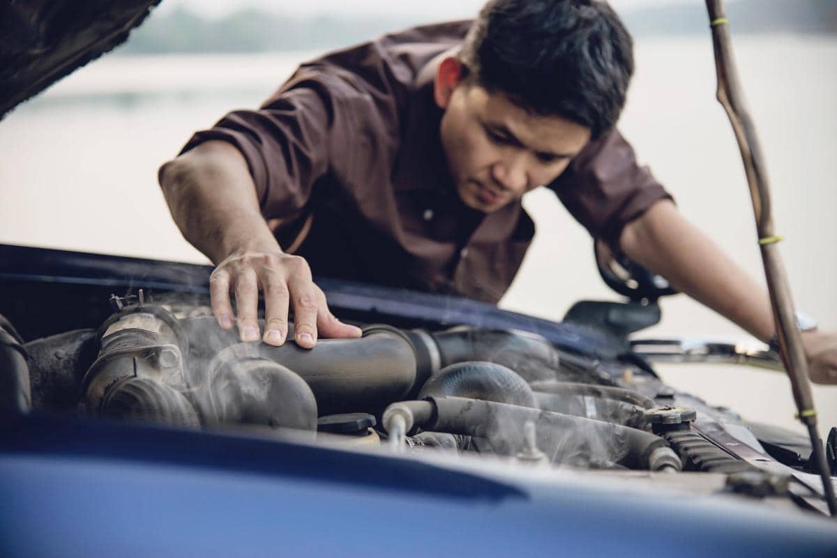 apa itu radiator flush 