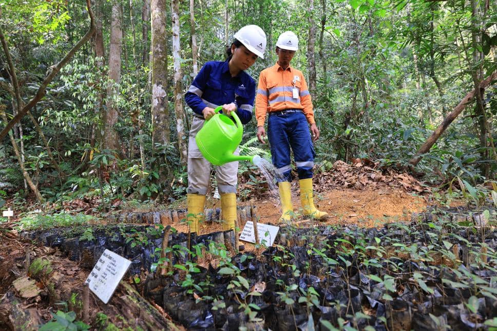 Dalam 4 Tahun PTAR Hasilkan 187.615 Bibit Tanaman Lokal