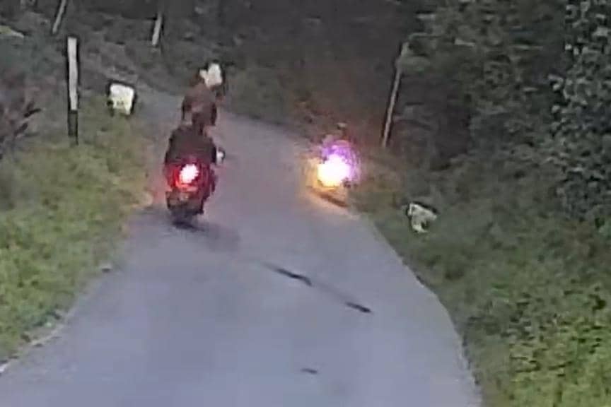 Aksi Berani Emak-emak di Ponorogo Lawan Jambret, Rp60 Juta Selamat