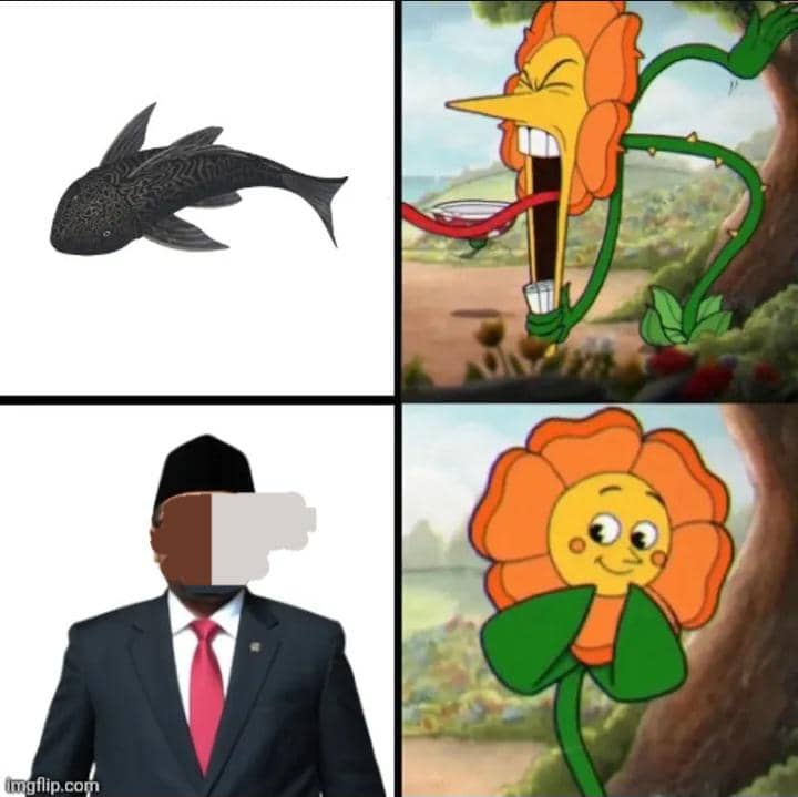 meme ikan sapu-sapu
