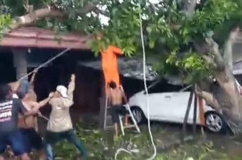 Puluhan rumah warga di Desa Semen, Kecamatan Paron, Kabupaten Ngawi, rusak diterjang puting beliung. IDN Times/Istimewa.