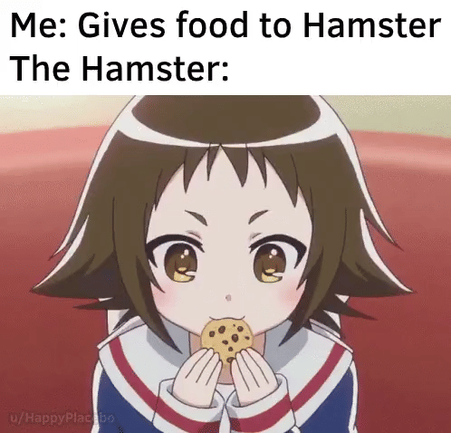 meme anime tentang memberi makan