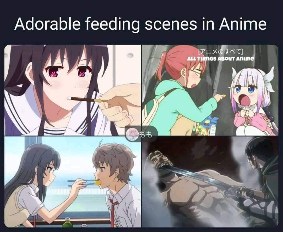 meme anime tentang memberi makan