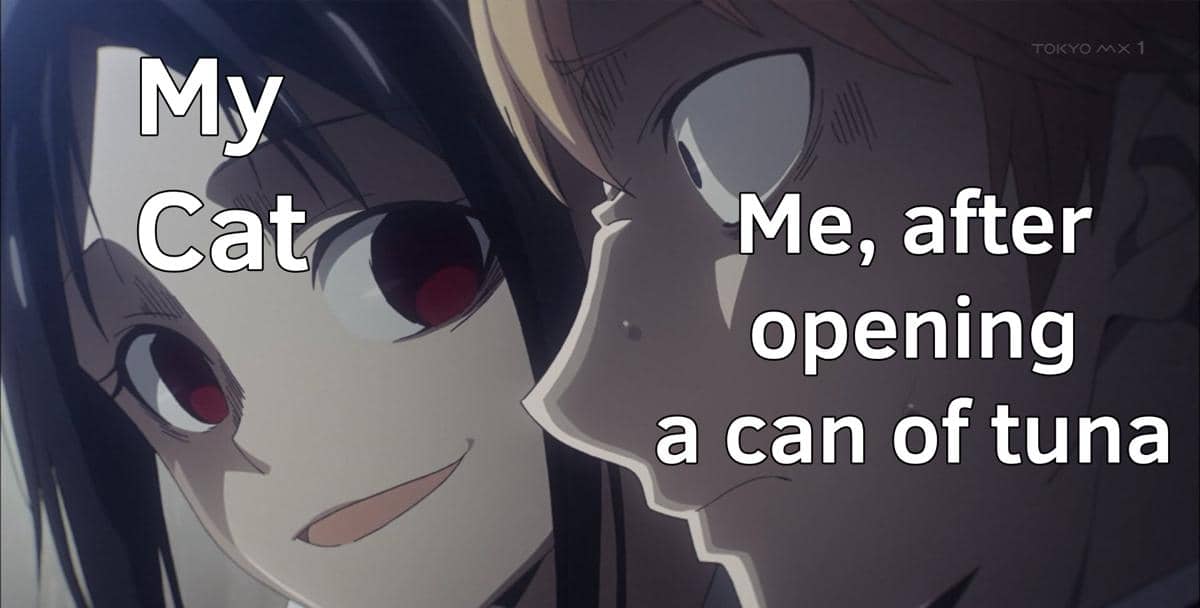 meme anime tentang memberi makan