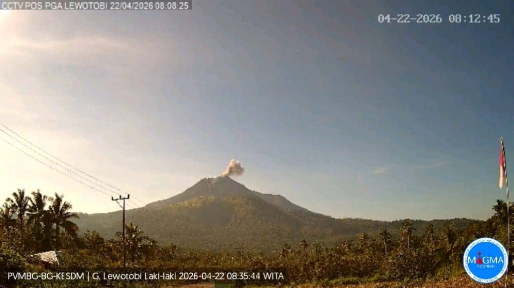 Erupsi Gunung Lewotobi Laki-laki pada 22 April 2026. (Dok PVMBG)