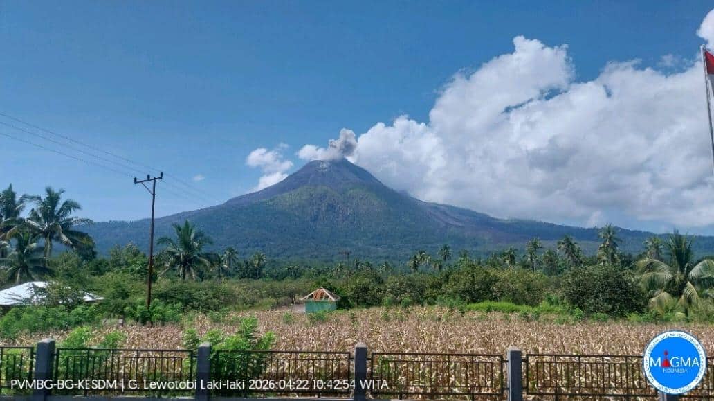 Erupsi Gunung Lewotobi Laki-laki pada 22 April 2026. (Dok PVMBG)