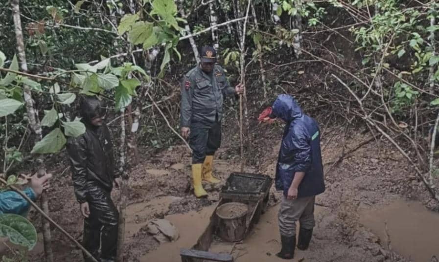 Terbongkar! Ada Tambang Emas Ilegal di Taman Nasional Matalawa