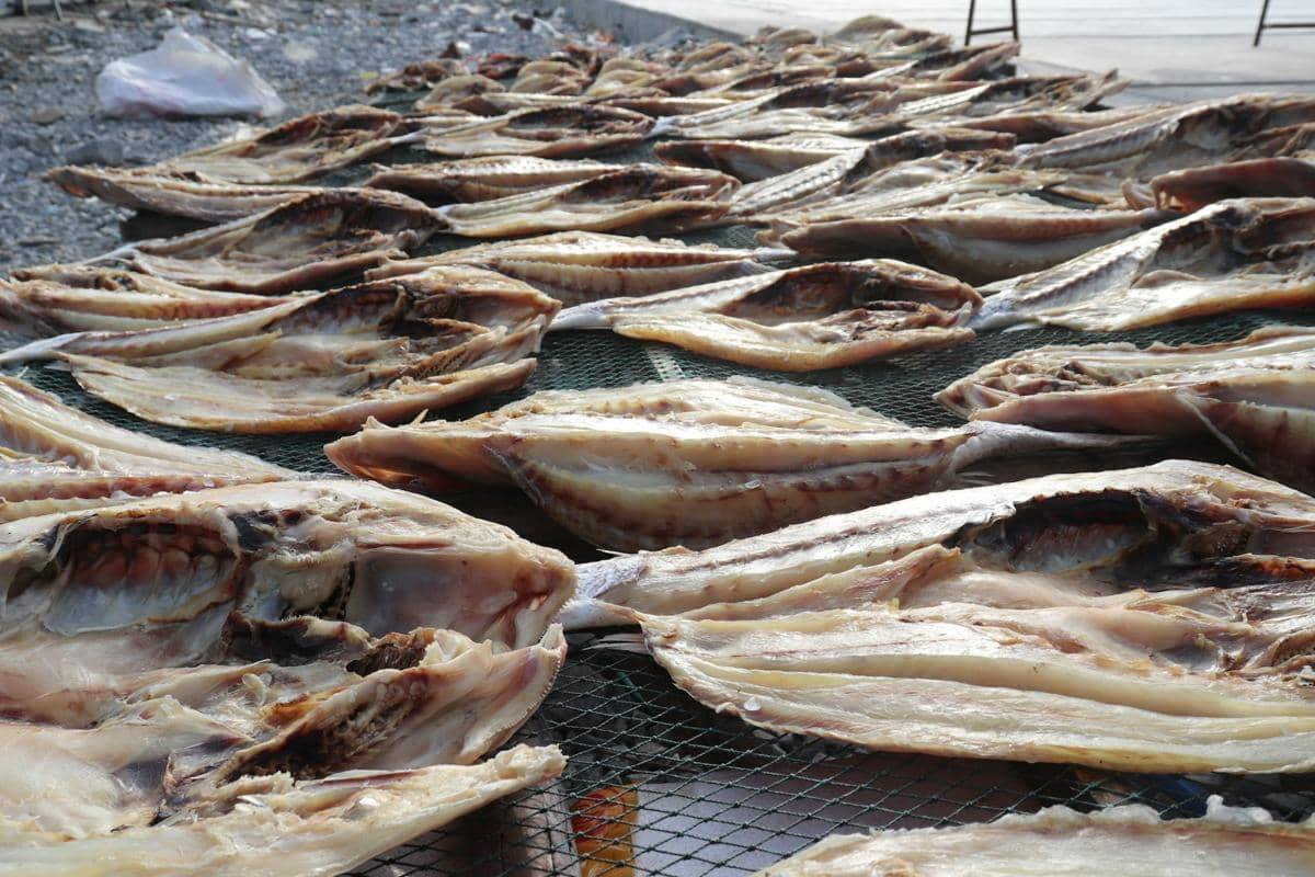 ilustrasi ikan asin