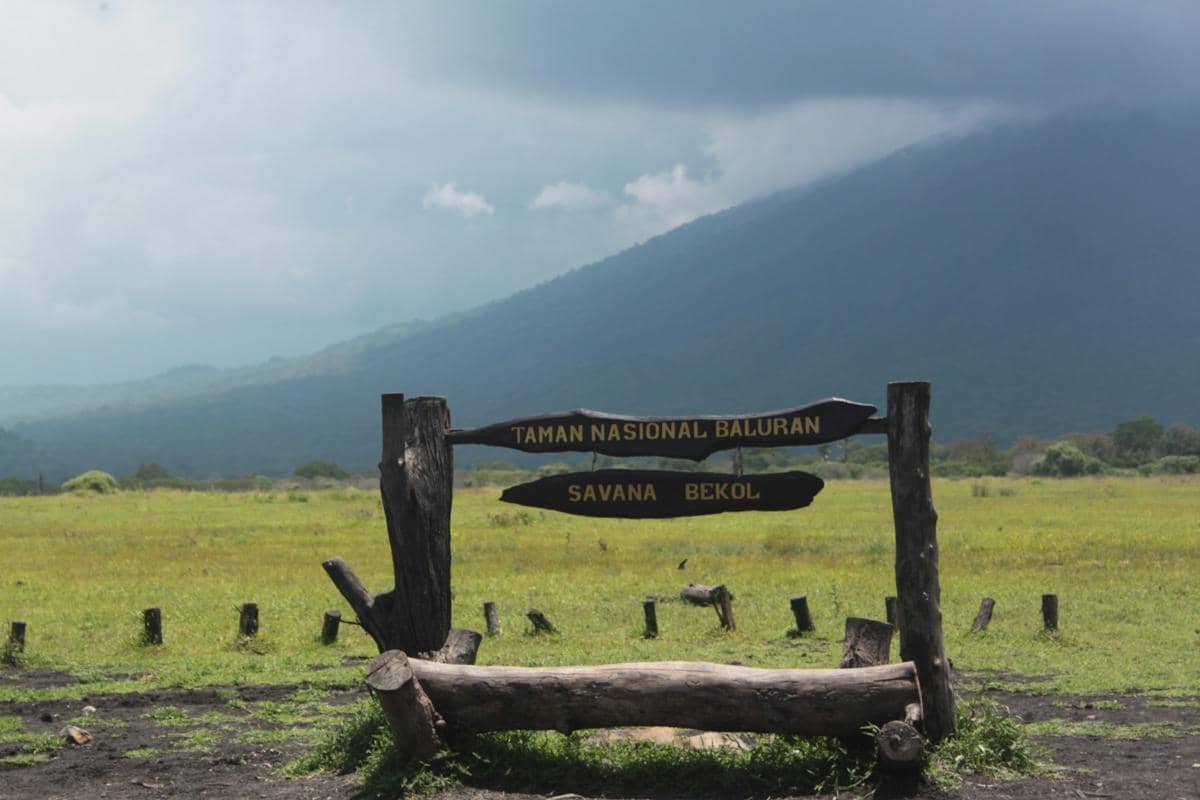 ilustrasi Baluran, Banyuwangi 