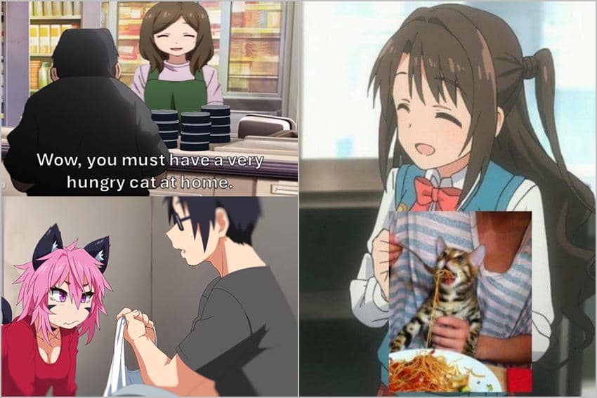 8 Meme Anime tentang Memberi Makan, Banyak Kucing!