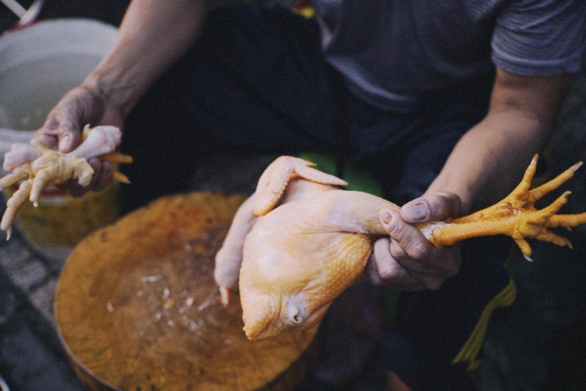 ilustrasi daging ayam (pexels.com/Vitaly Gariev)
