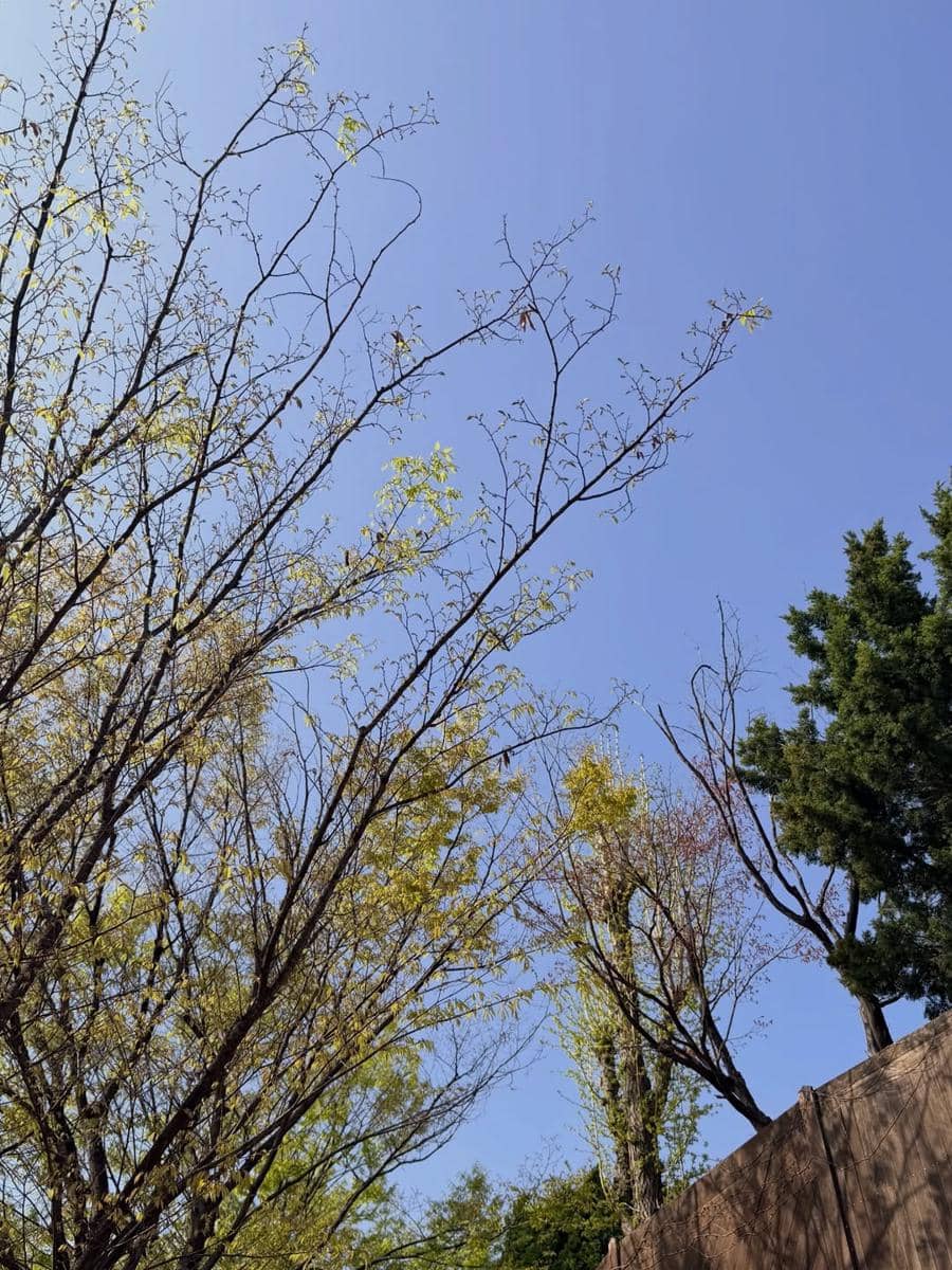 Yulita MCI5 saat jalan-jalan di Bukchon Hanok Village