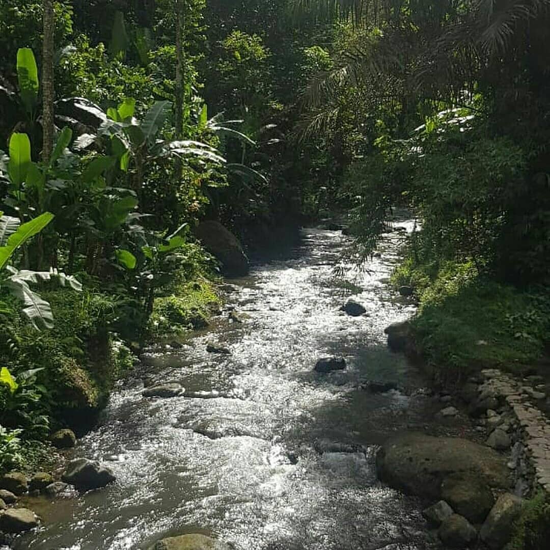 aliran sungai Air Terjun Campuhan Antapan (instagram.com/campuhan_antapan_waterfall)