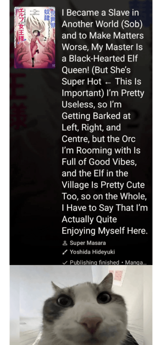 meme kocak tentang judul anime