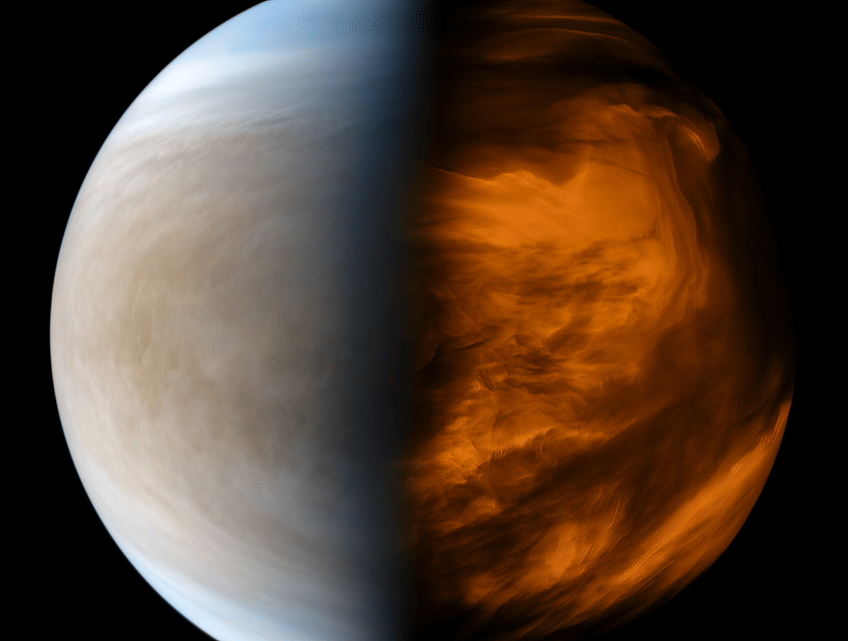 ilustrasi Venus