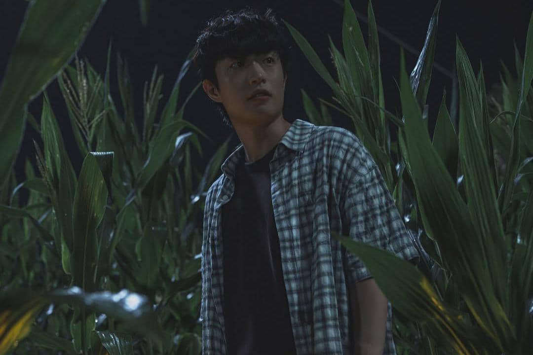 still cut drama The Scarecrow 