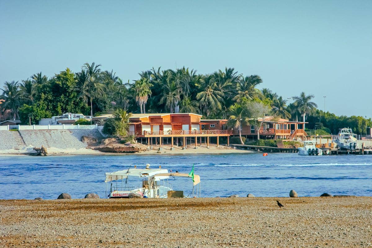 ilustrasi Laut Merah Jeddah