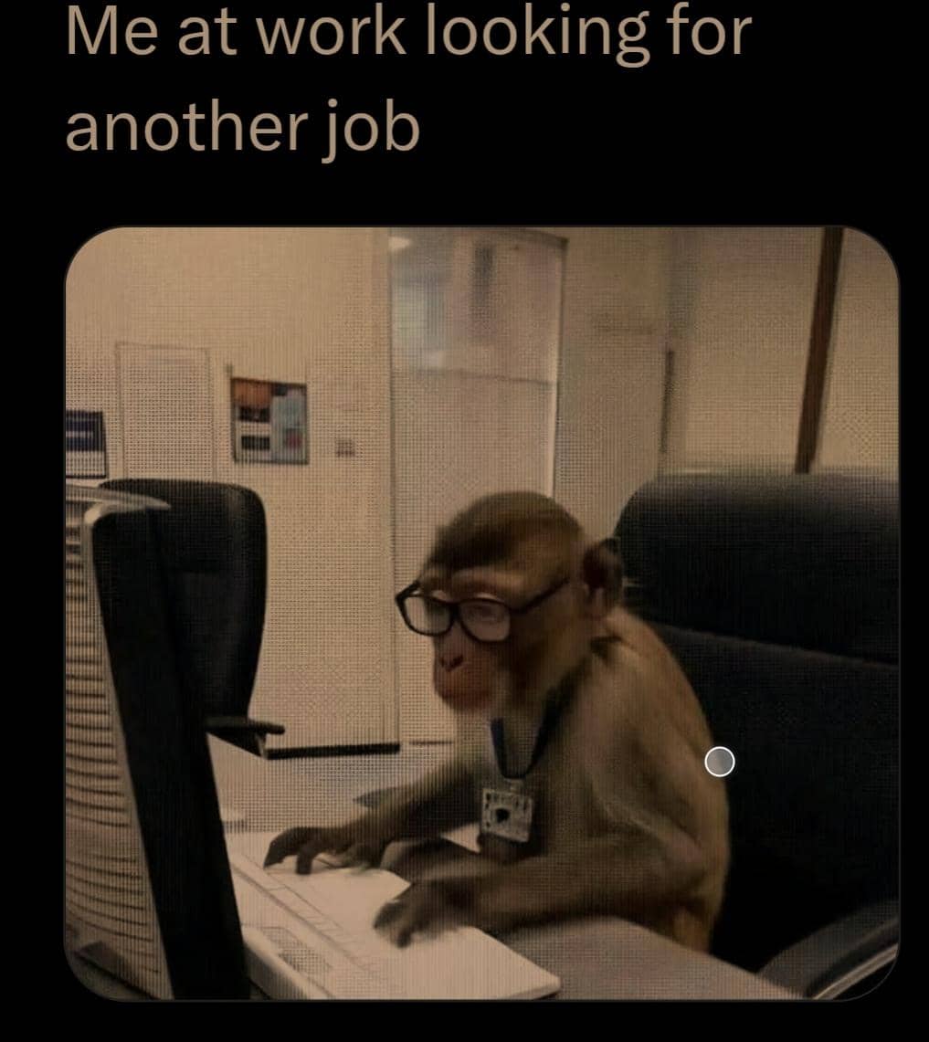 Meme Gen Z di Dunia Kerja
