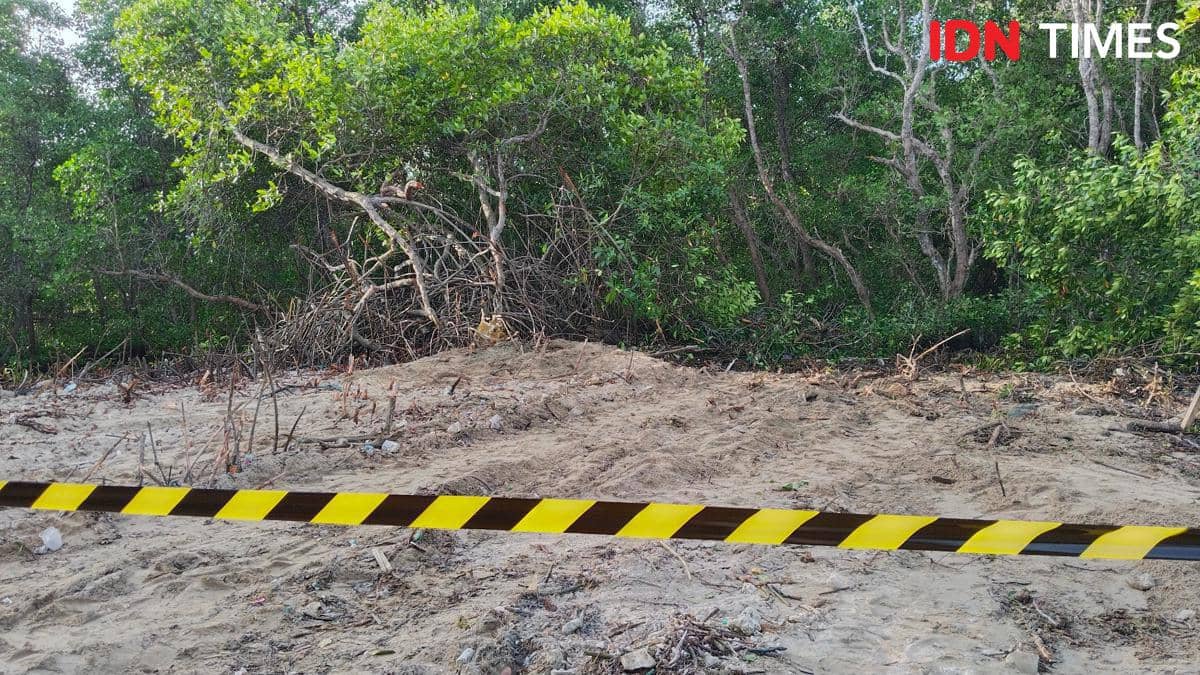 BTID Ketahuan Babat Mangrove di Teluk Lebangan Serangan