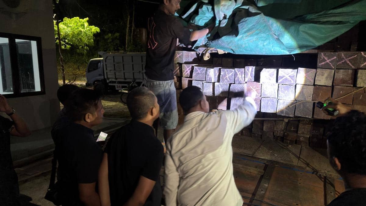 Balai Penegakan Hukum (Gakkum) Kehutanan Wilayah Kalimantan membongkar sindikat perdagangan kayu ilegal antarpulau.