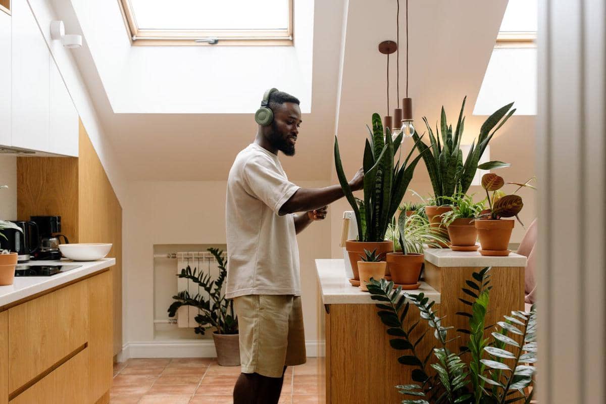 Ilustrasi merawat tanaman