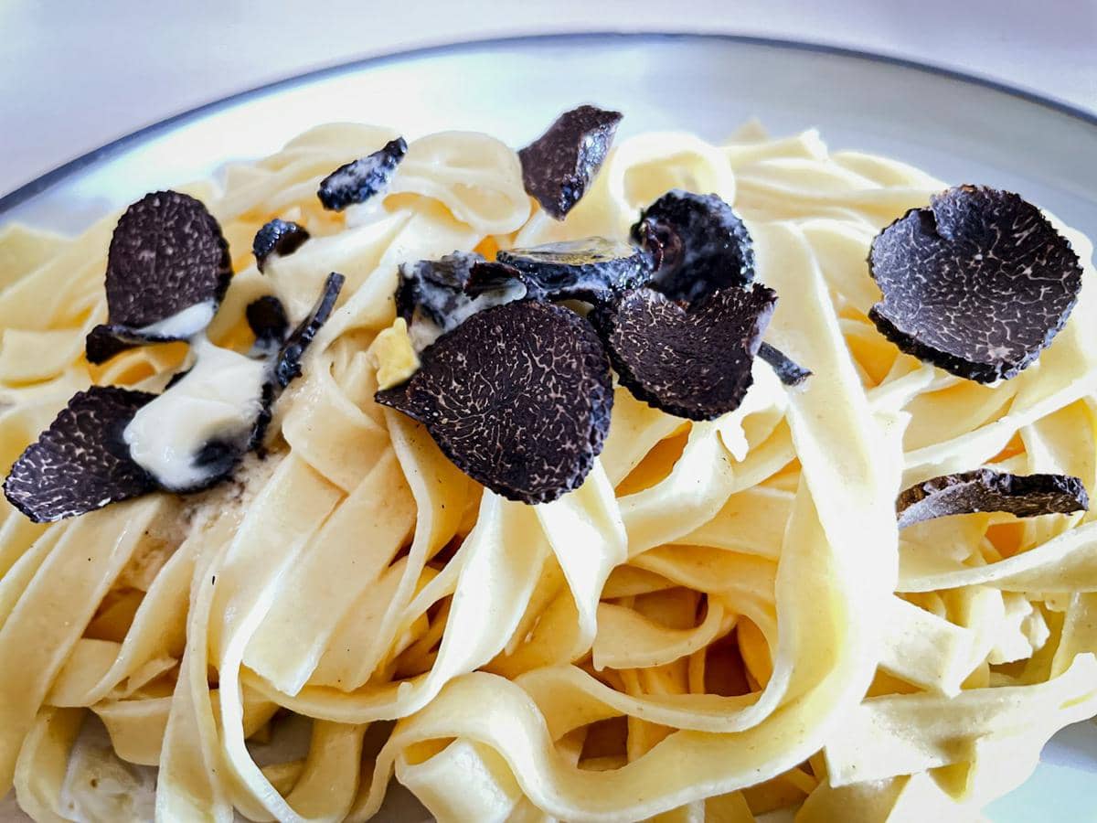 ilustrasi pasta dengan truffle